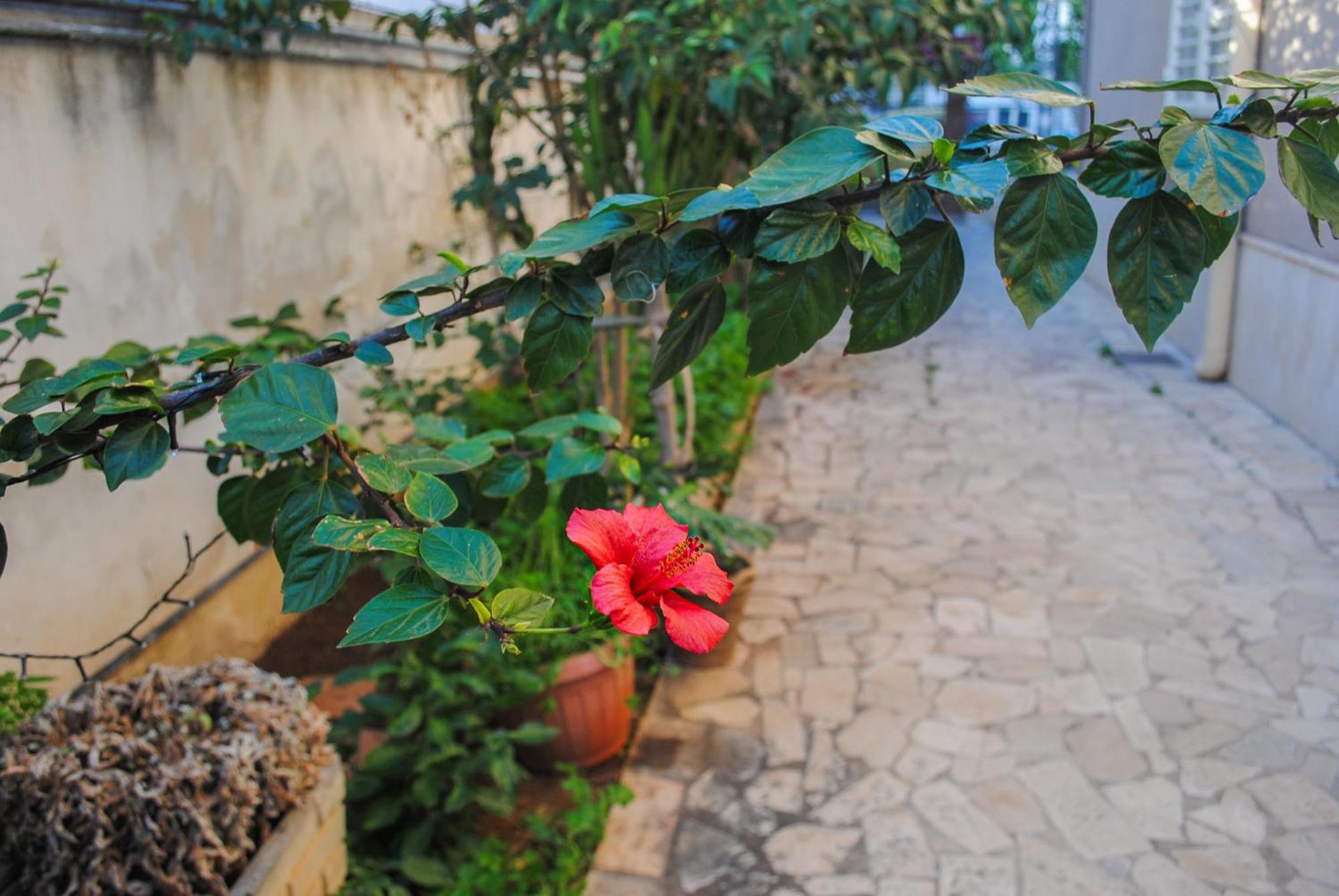 Villa Magnolia Con Giardino Bari Exterior foto